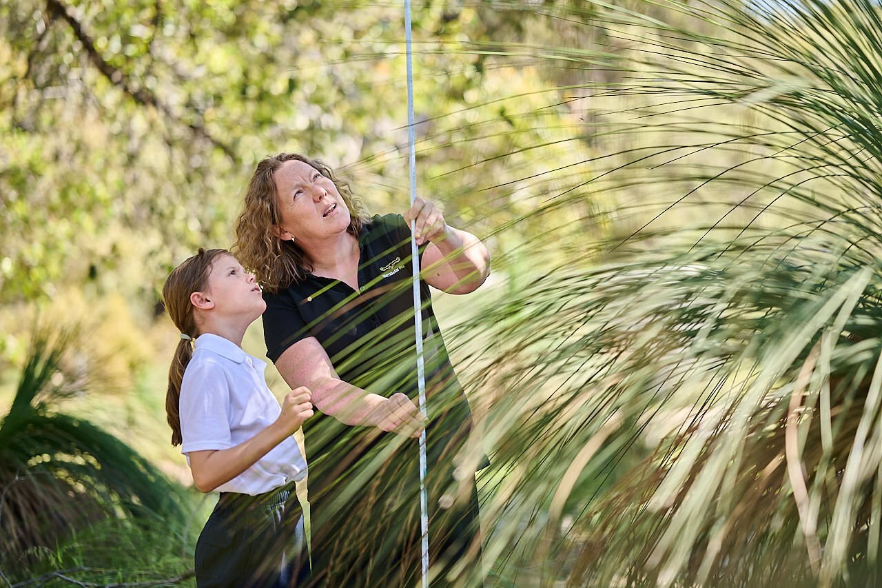 241 WP EDU REV 231004 DC27258