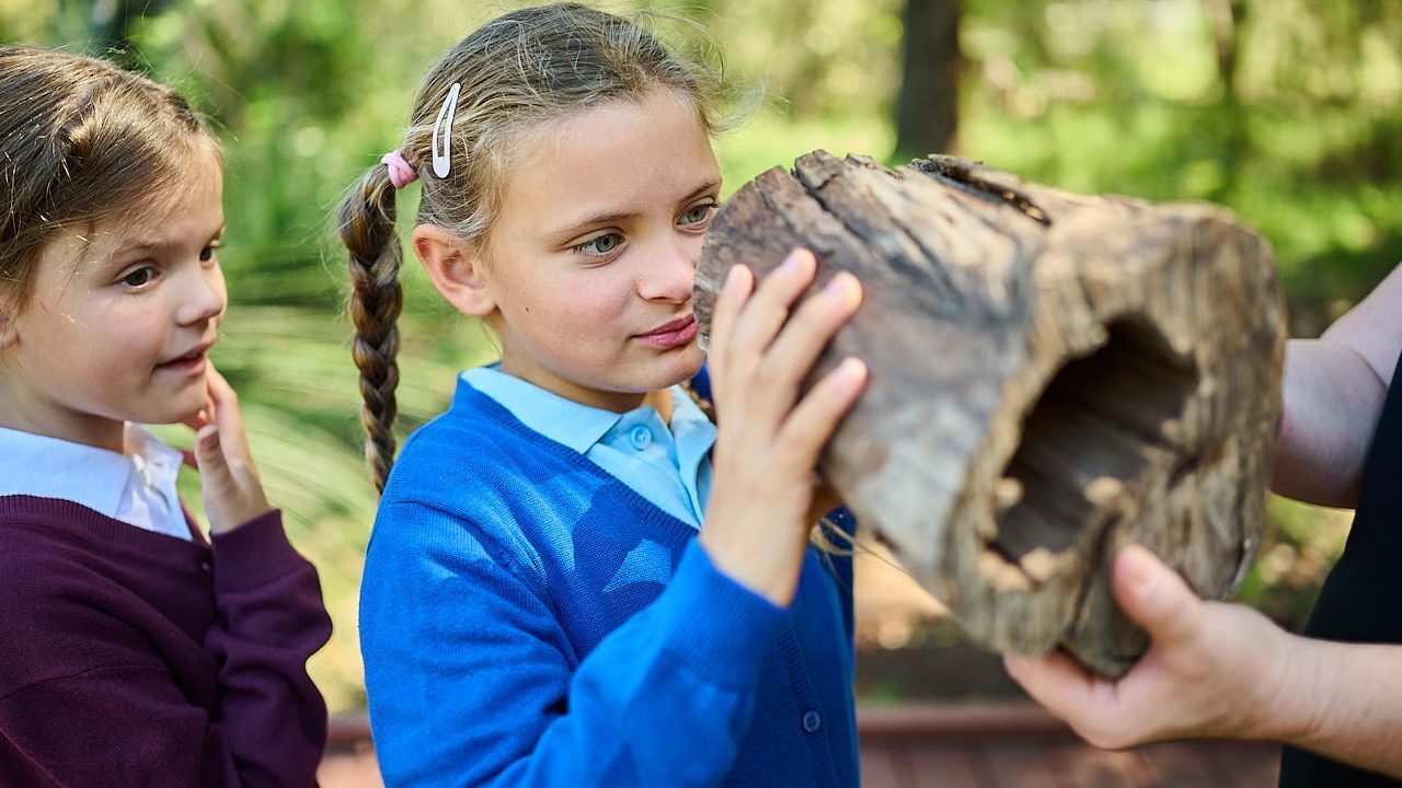 273 WP EDU REV 231004 DC13474