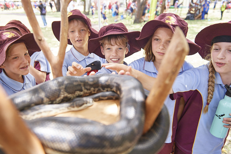 Whiteman Park education snakes alive CGF17 WEB