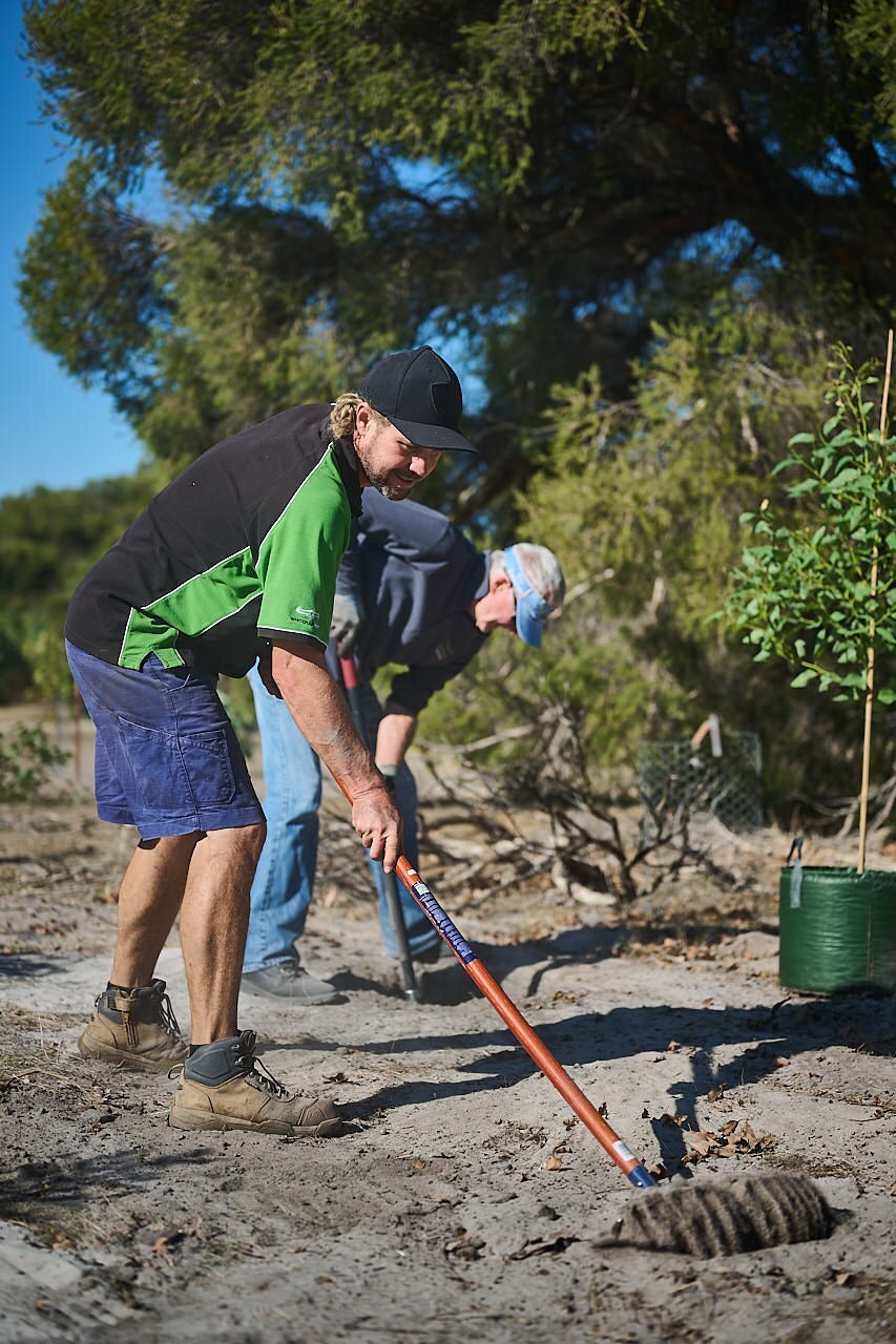 Whiteman Park habitat planting in Woodland Reserve WEB