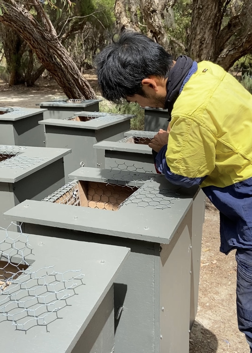 Whiteman Park nest box construction