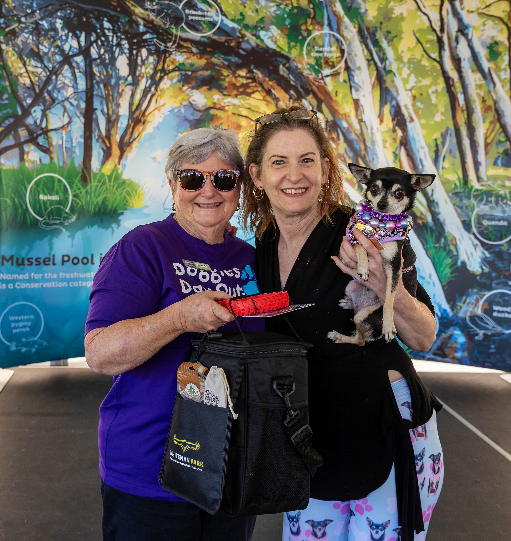 Doggies Day Out comp winner