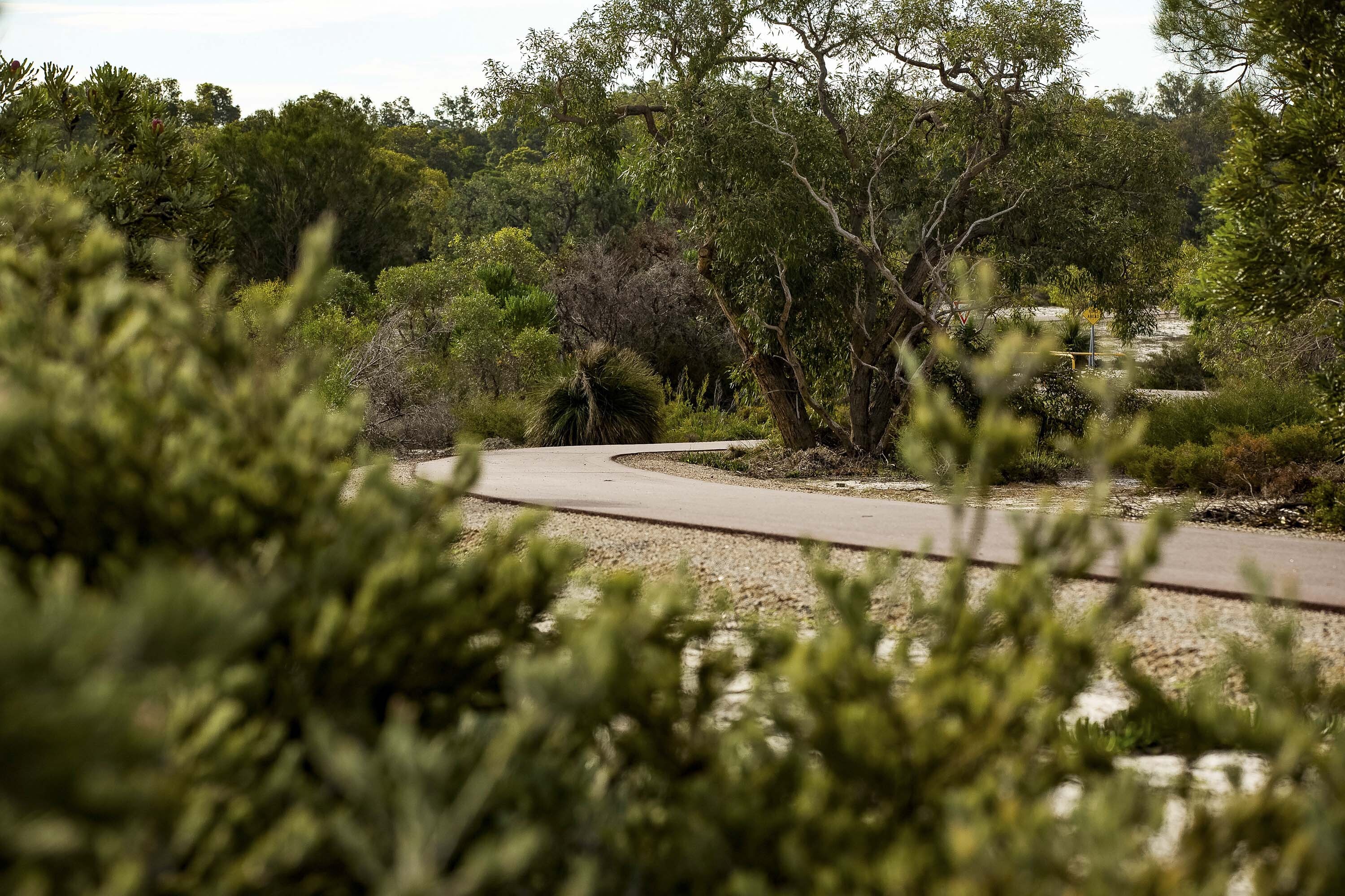 Paths Lookout loop Whiteman Parkt 2020 WEB2