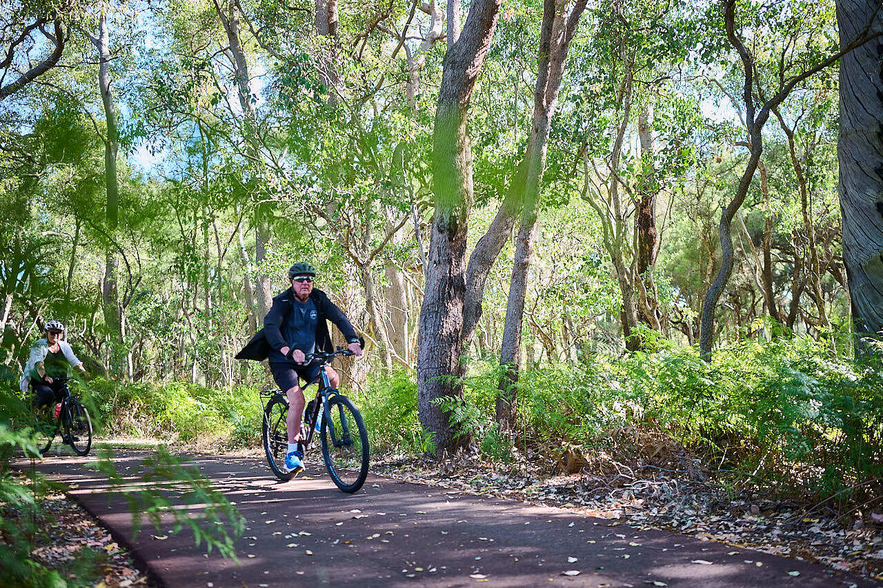 005 WP VOLUNTEERS 241205