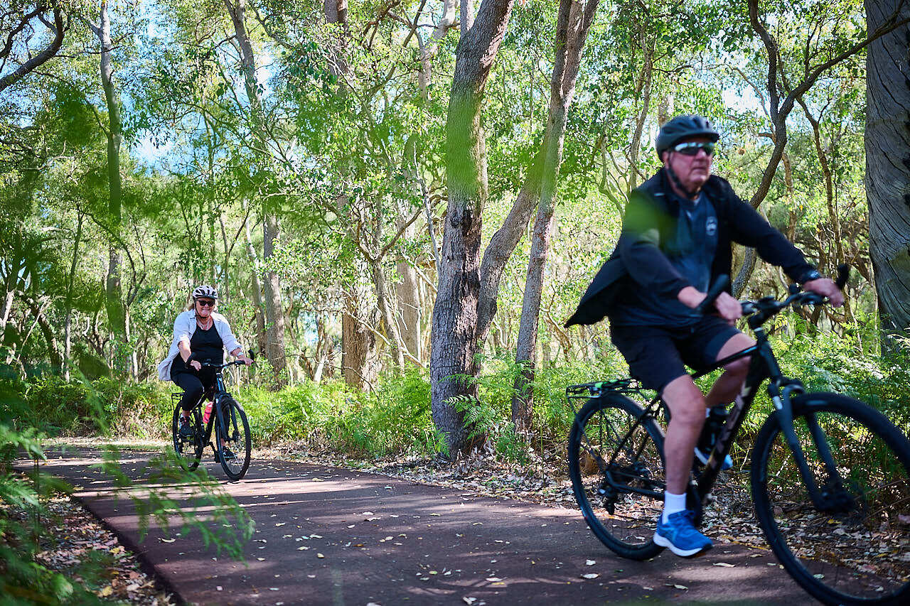 006 WP VOLUNTEERS 241205