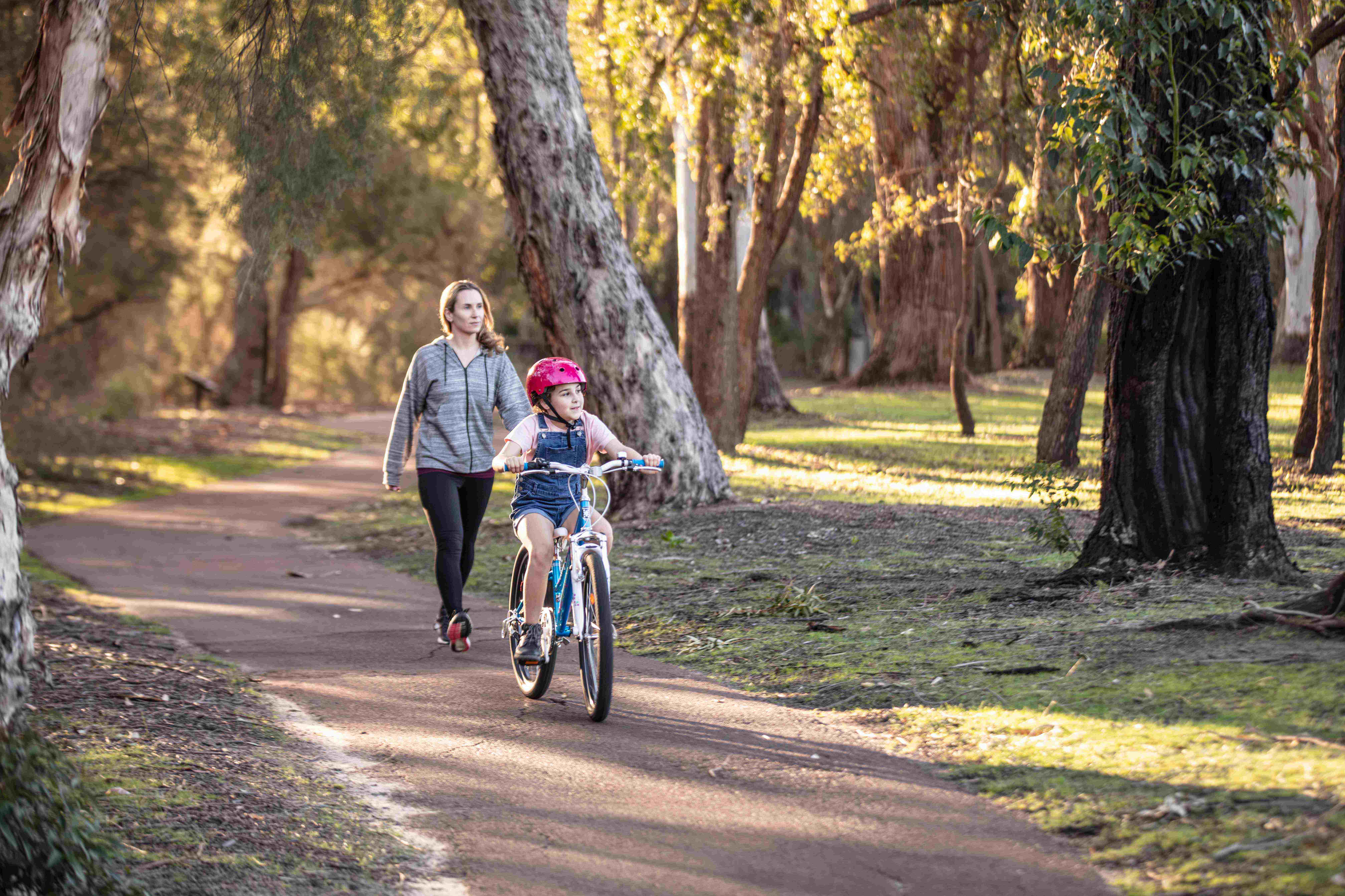 Facilities Bike paths afternoon light