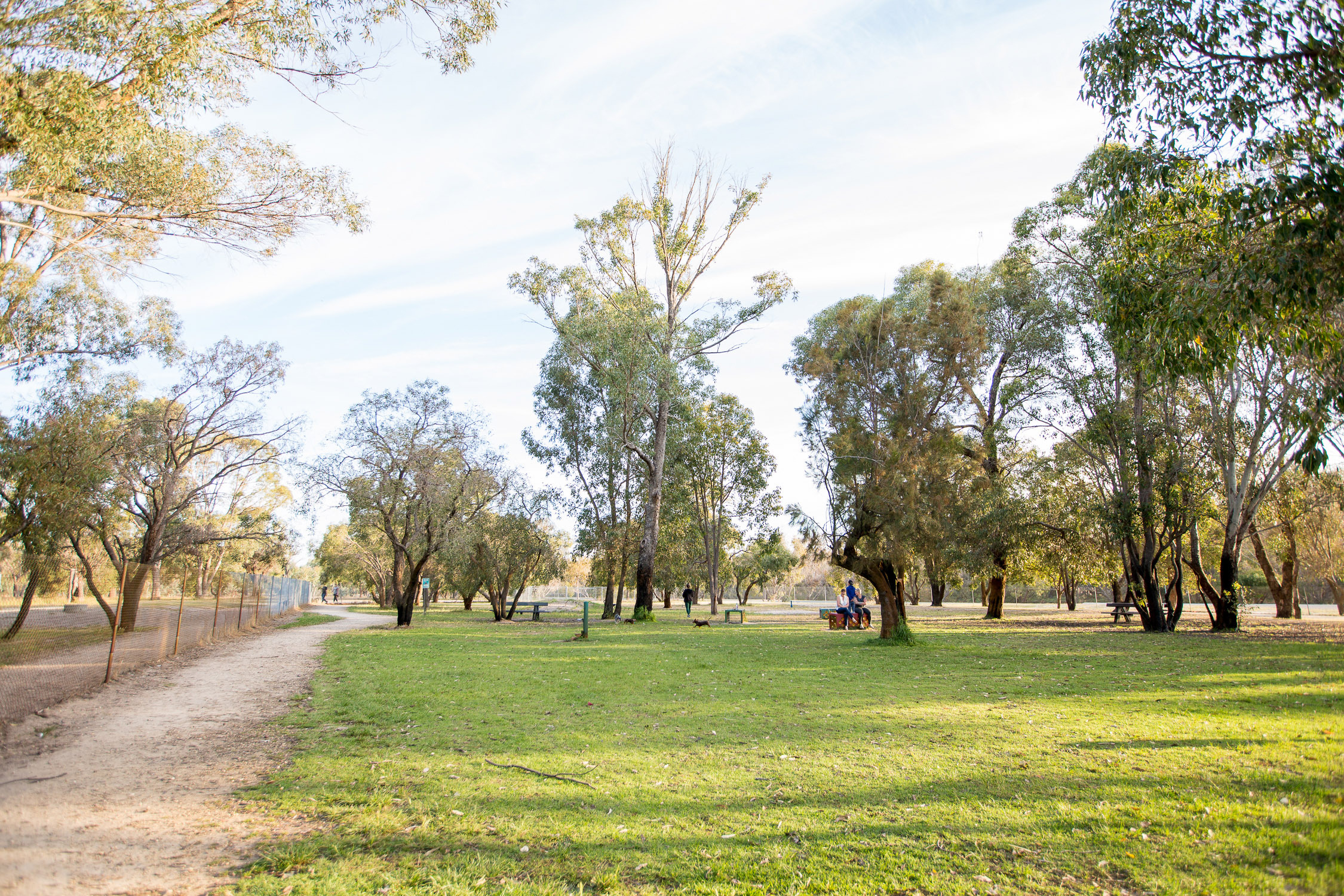 WP 259 Dog Park wide