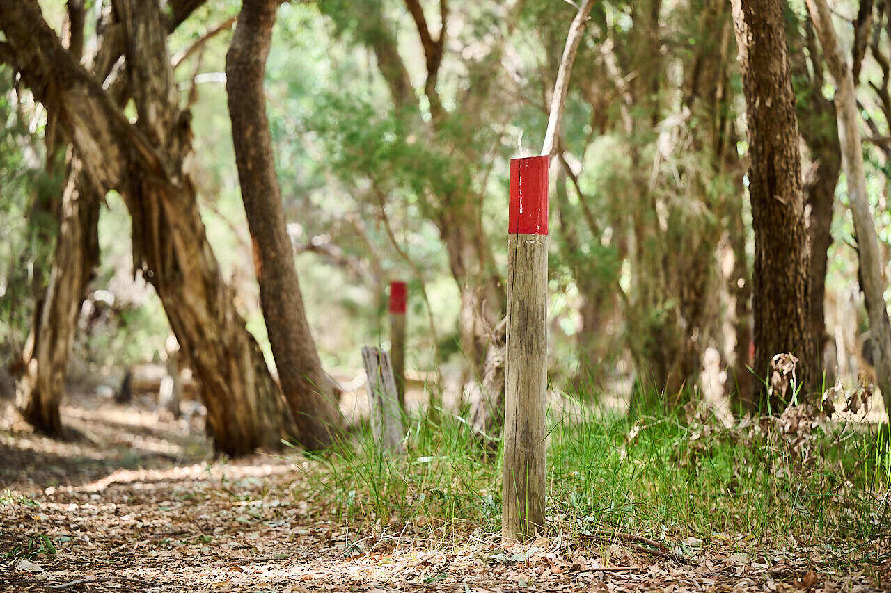 Gooloorto trail Whiteman Park 036 WEB