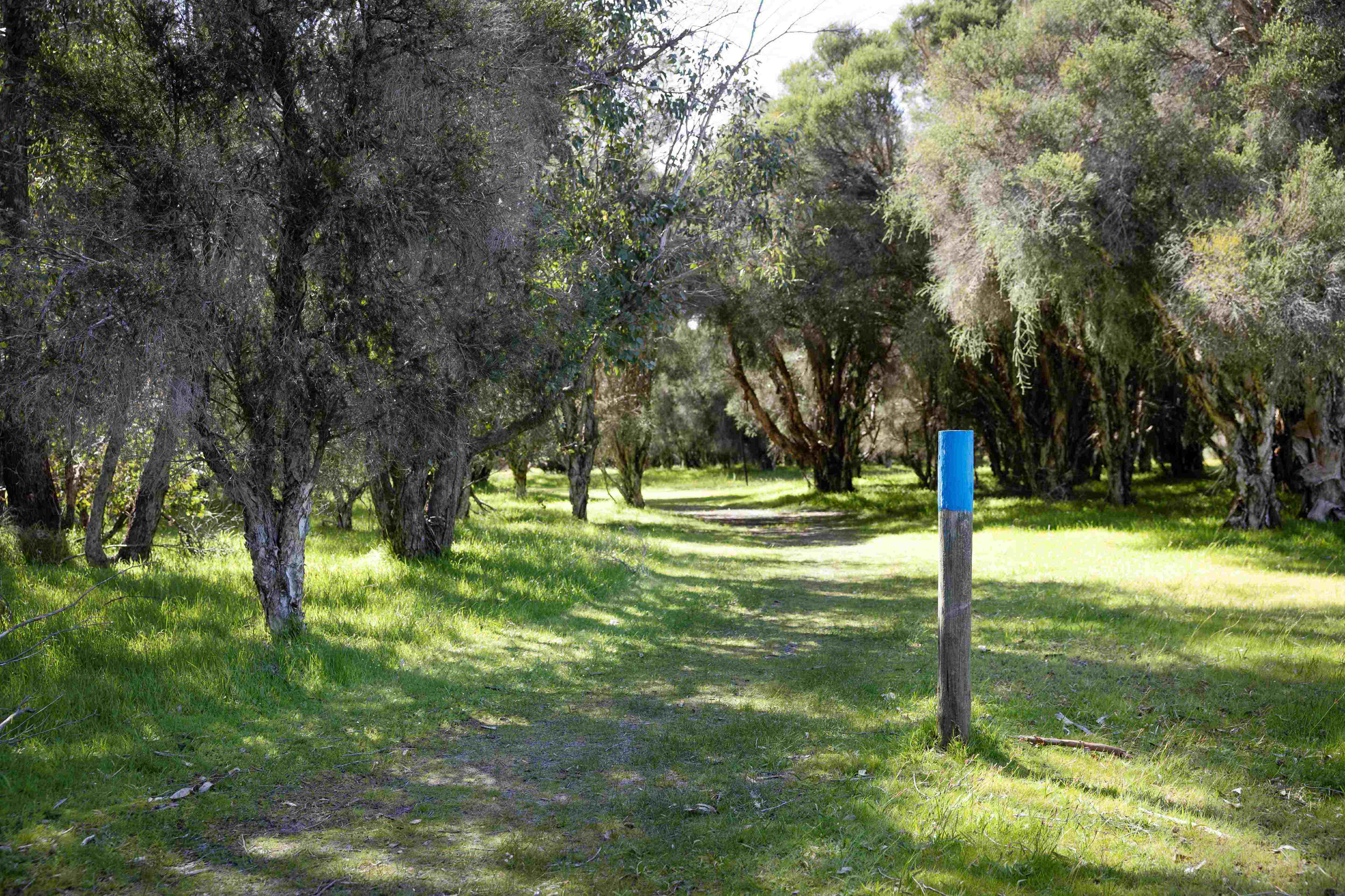 Whiteman Park Werrillyiup Trail winter2024