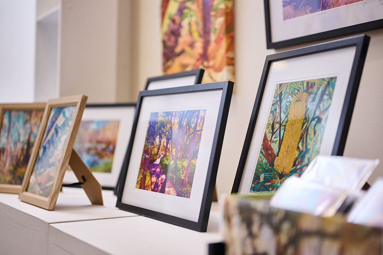 Village Art Gallery Whiteman Park frames WEB