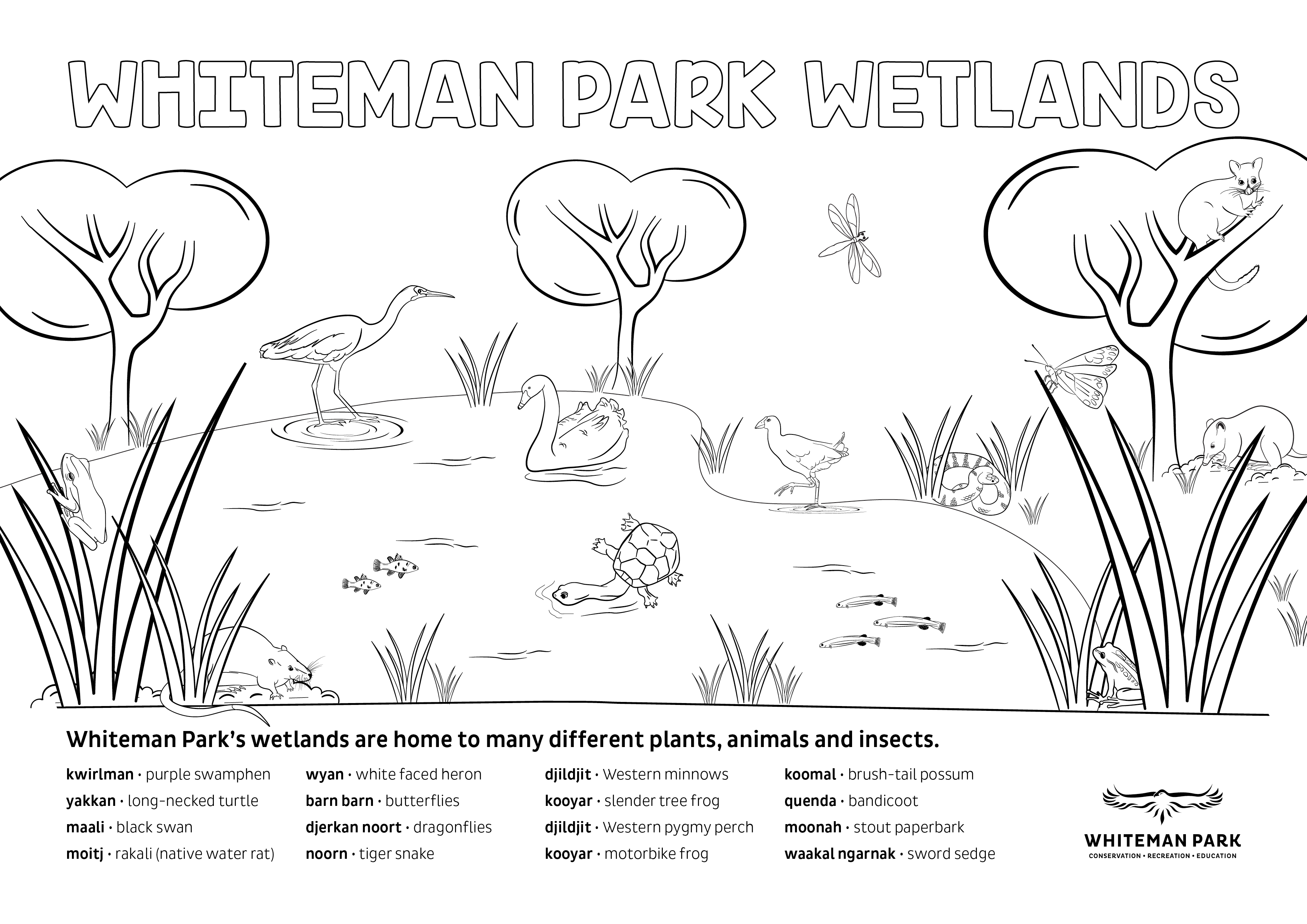 44785 WHIT Whiteman Park Envirofest Wetlands Scene Colouring In FNL