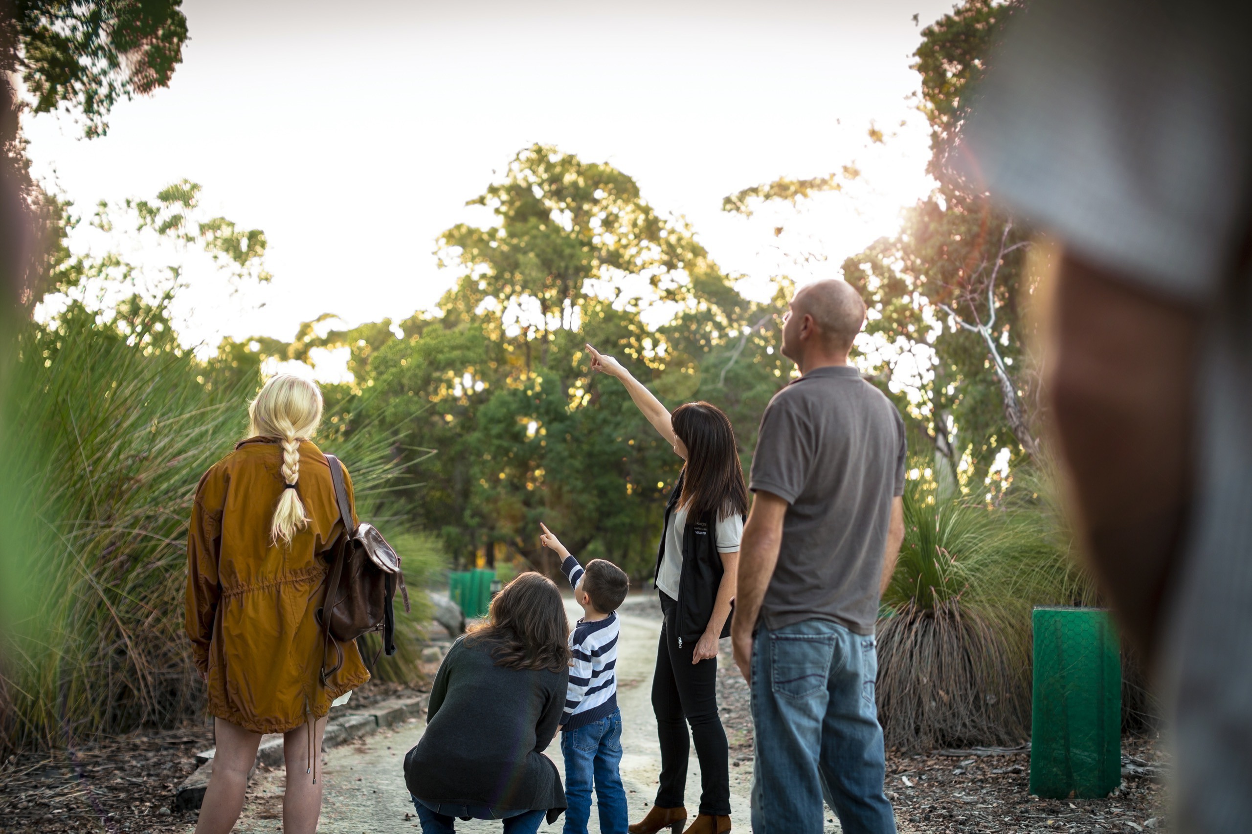 Guided tour - Woodland Reserve - pointing