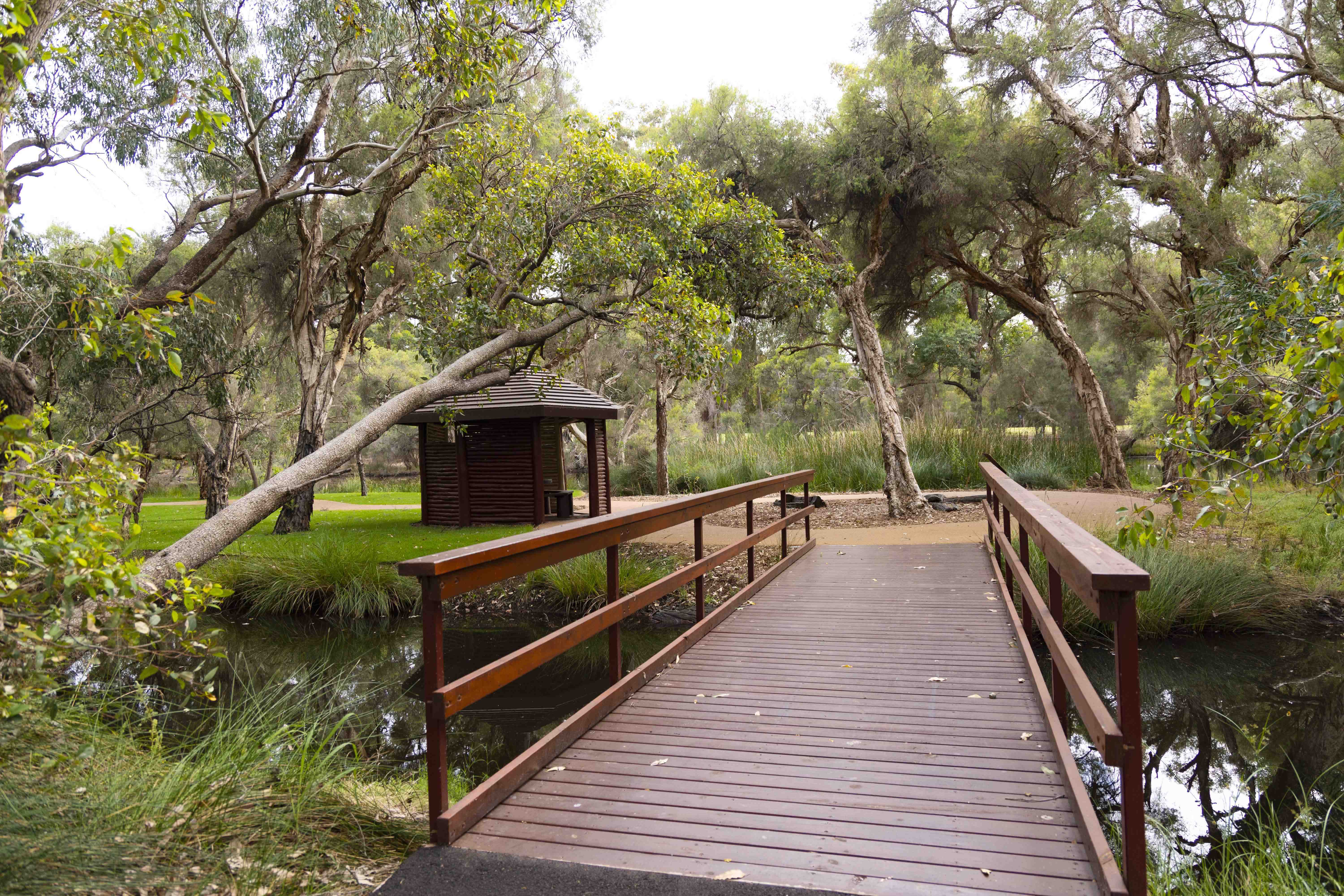 Whiteman Park Wedding Island bridge 2022 WEB