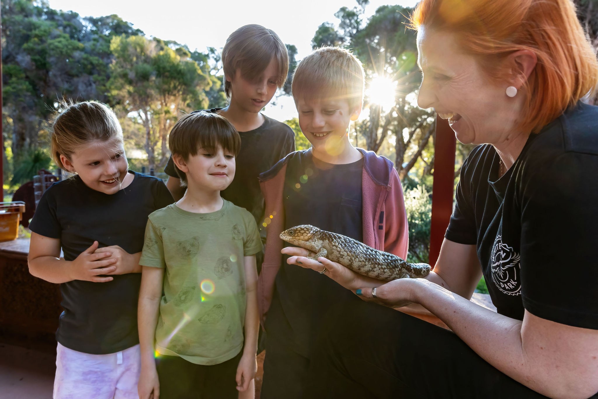 Meet Kate the bobtail on a Kids Woylie Walk